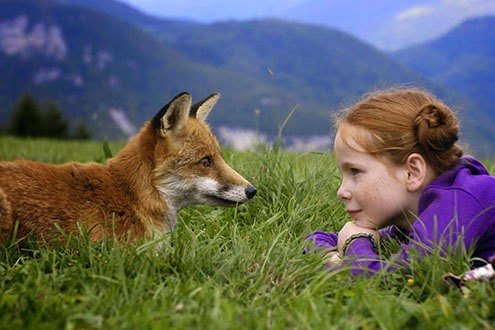 film per bambini gratis a Milano a Pasqua: la volpe e la bambina in hangar bicocca