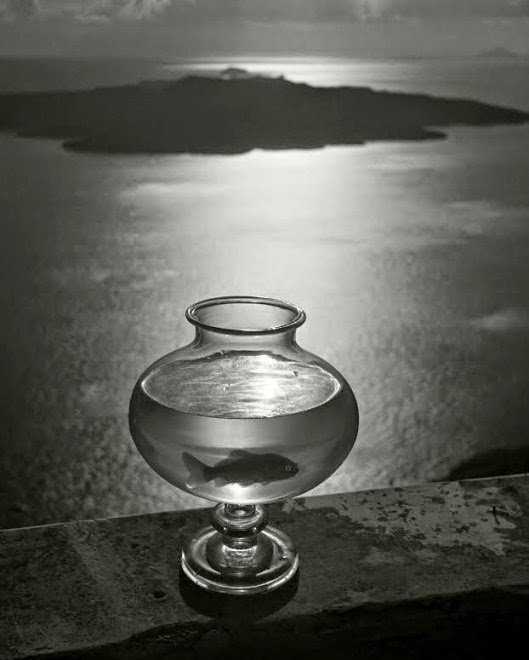 Goldfish bowl, Santorini Island, Cyclades, Greece, 1937 - Herbert-List