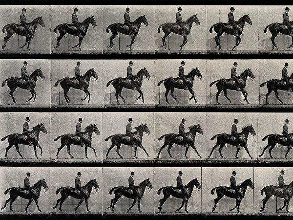 Cosa fare a Milano da venerdì 27 maggio a domenica 29 maggio : Per la prima volta in Italia, una grande mostra dedicata a Eadweard Muybridge, il fotografo che ha inventato il movimento