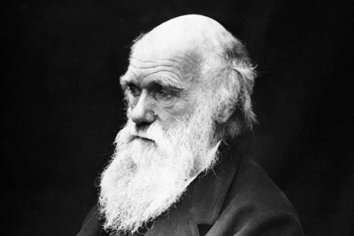 Cosa fare domenica 12 febbraio a Milano: Darwin Day
