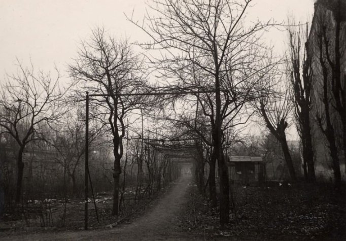 Cosa vedere a Milano: Vigna di Leonardo