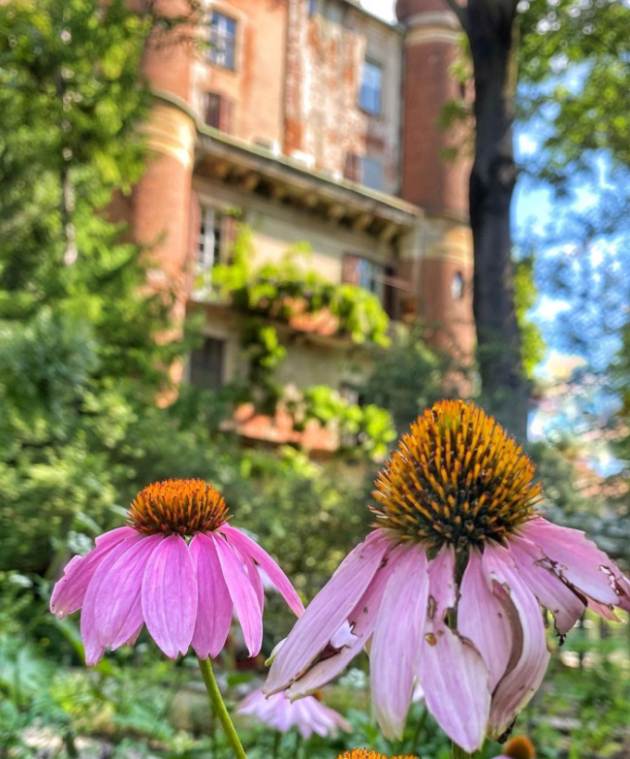 I luoghi più romantici di Milano: Orto Botanico di Brera