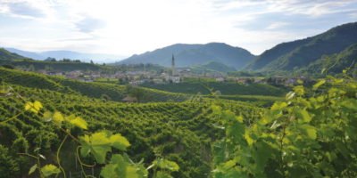 22 giugno a Milano: degustazione con i Vini rari di riva de La Fuìta