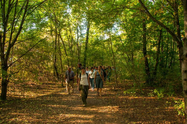 Dal 14 al 24 settembre ritorna a Milano il Festival della Biodiversità