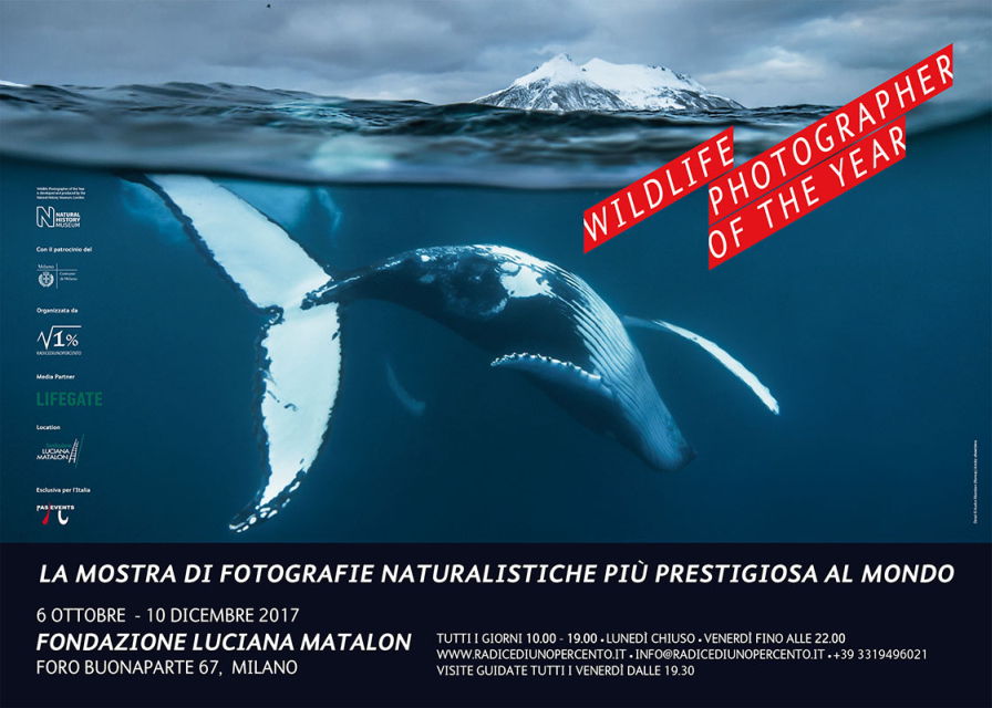 Dal 6 ottobre a Milano la mostra Wildlife Photographer of The Year