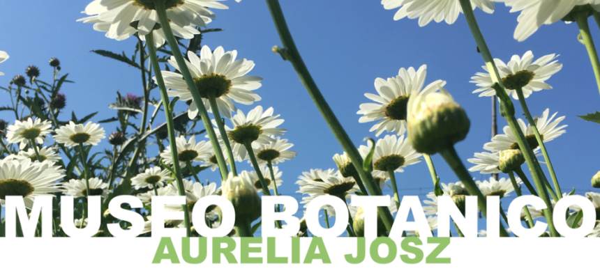 Cosa fare sabato 13 luglio a Milano: Visite guidate al Museo Botanico Aurelia Josz