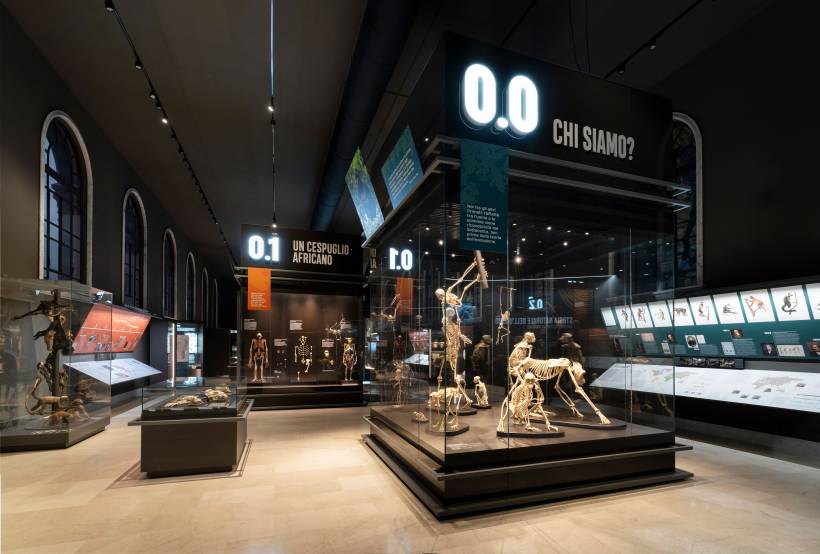 Museo di Storia Naturale di Milano: nuovo allestimento Migliore Servetto