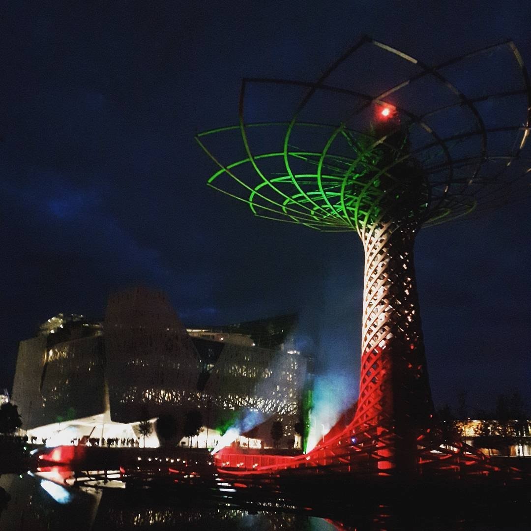 Coronavirus: a Milano riaccende l'Albero della Vita di Expo 2015