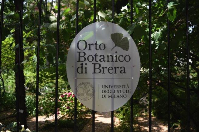 apertura straordinaria per orto botanico di Milano Brera