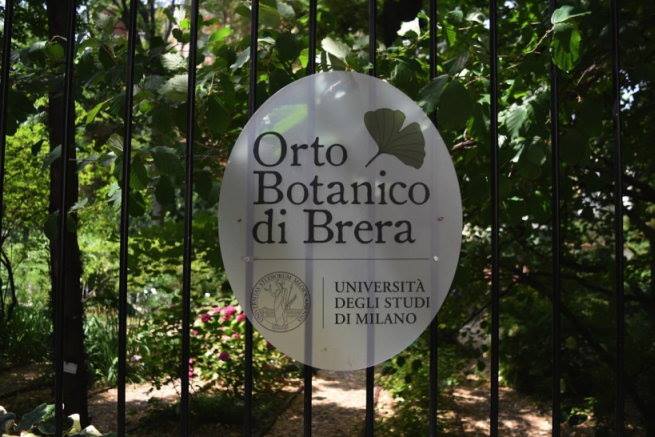 Orto Botanico di Brera