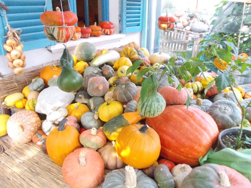La Casa delle Zucche: torna Tutto Zucche, mostra mercato ad Andezeno