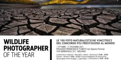A Milano la mostra WILDLIFE Photographer of The Year