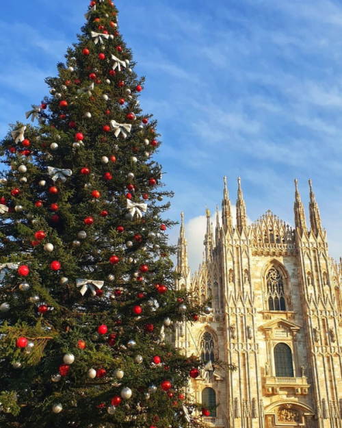 Albero di Natale 2021 in Piazza Duomo a Milano