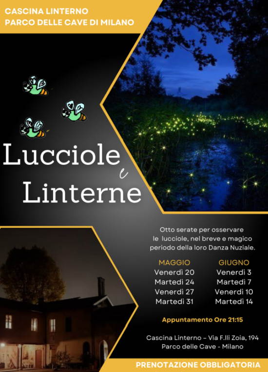 Lusiroeula al Parco delle Cave di Milano: dove osservare le lucciole