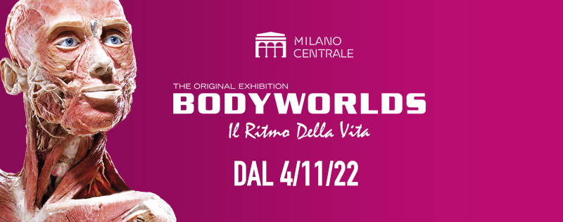 BODY WORLDS – Il Ritmo Della Vita: a Milano la mostra dei corpi umani