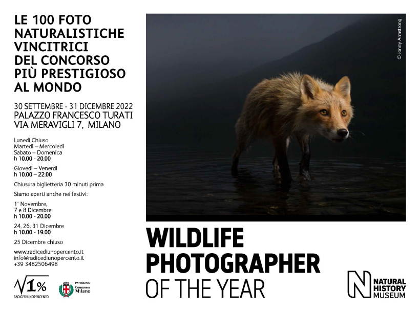 A Palazzo Francesco Turati la mostra Wildlife Photographer of The Year