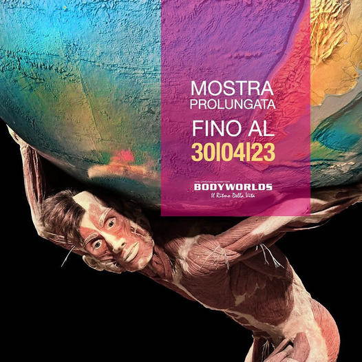 L'esposizione BODY WORLDS Milano prolunga la data di apertura fino al 30 aprile 2023