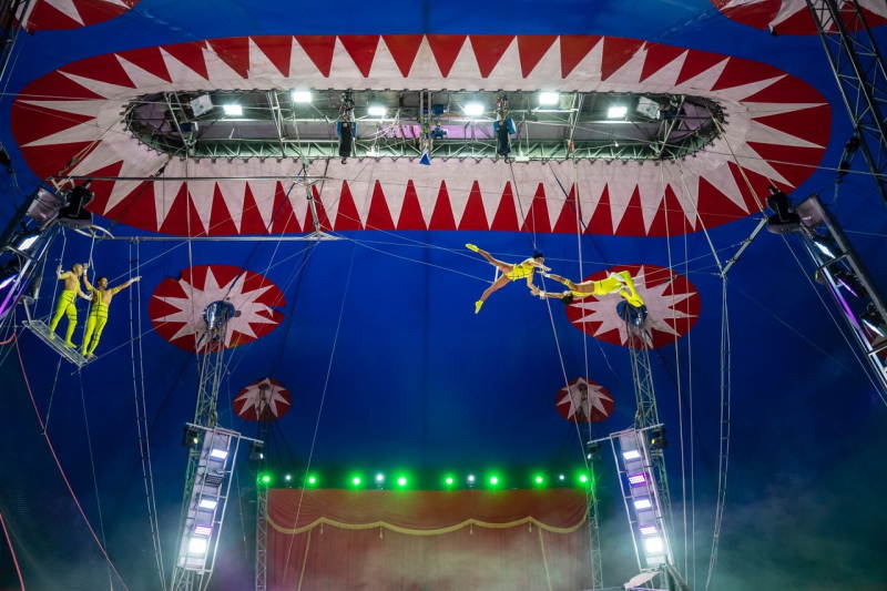 Dal 20 gennaio in Piazzale Cuoco il Circo Madagascar di Maya Orfei: trapeziste in volo
