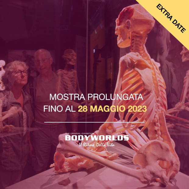 L'esposizione BODY WORLDS Milano prolunga la data di apertura fino al 28 maggio 2023