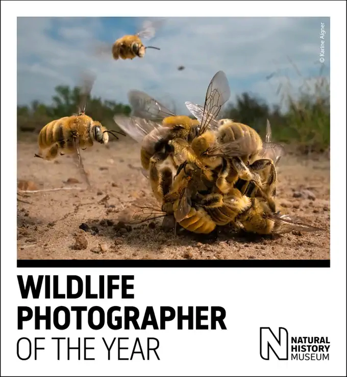 Apertura l'1 novembre per Wildlife Photographer of the Year a Milano