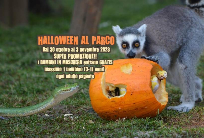 Ponte di Ognissanti e Halloween al Parco Le Cornelle: ingresso gratis per i bambini