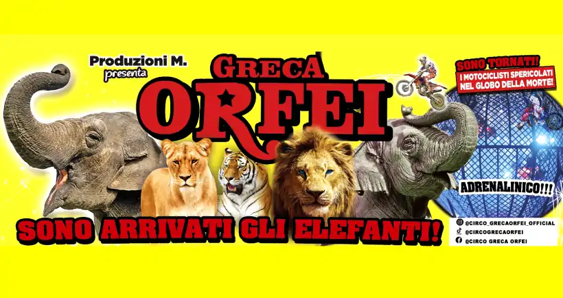 Kaleidos: a Milano dall'8 dicembre 2023 il nuovo spettacolo del Circo Greca Orfei